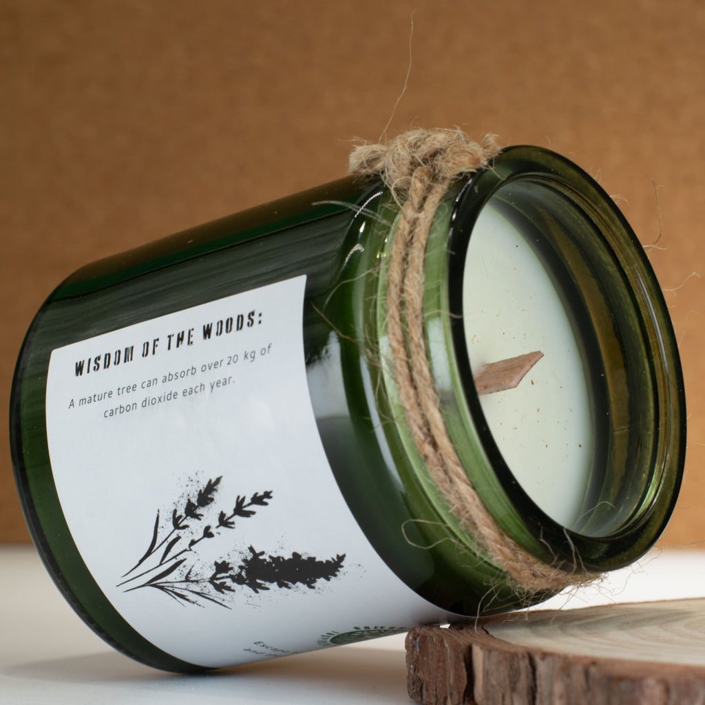 Natural, handmade soy candle - Wild Lavender