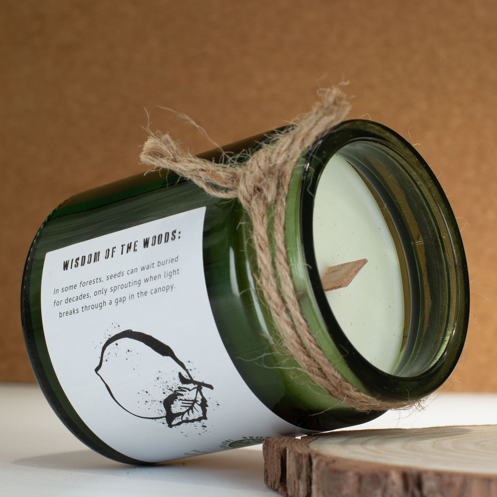 Natural, handmade, soy wax candle - Forest Resin
